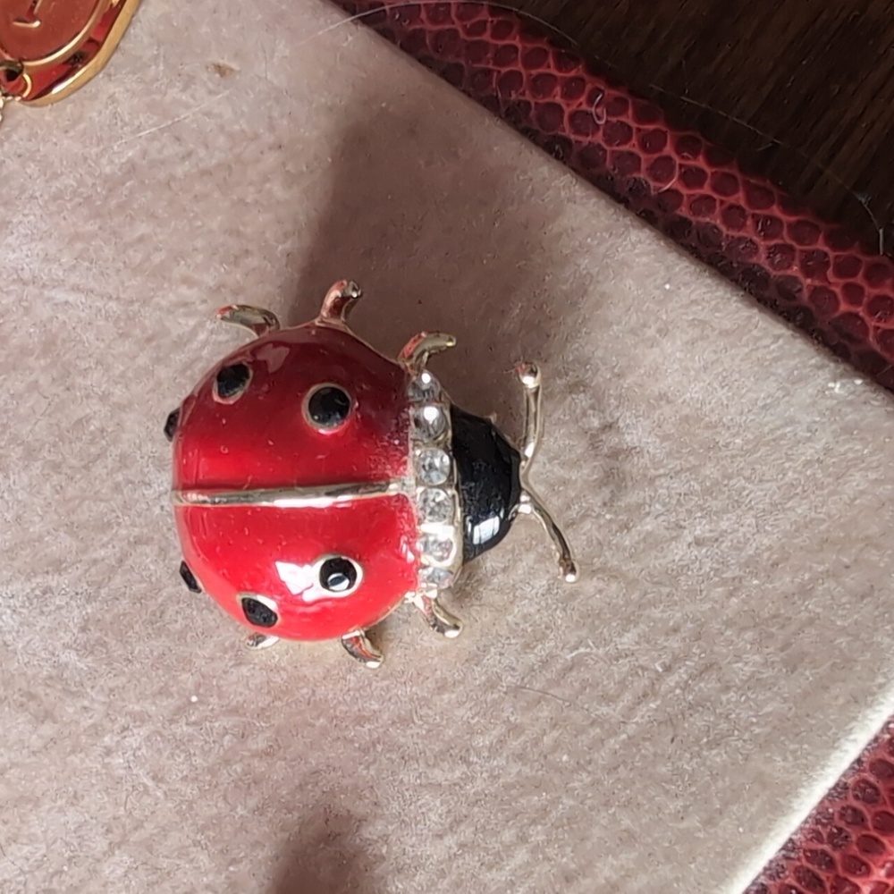 Red Ladybug Brooch - Picture 2 of 3